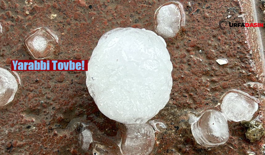 Şanlıurfa Kırsalında Taş Gibi Dolu Yağdı!