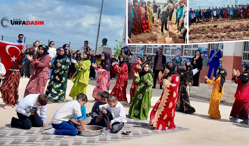 Şanlıurfa Akçakale'de Öğrencilerinin Çiğ Köfteli, Halaylı Fidan Dikme Etkinliği