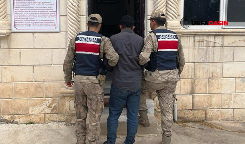 Şanlıurfa'da Hapis Cezası Bulunan Firari Dolandırıcı Yakalandı