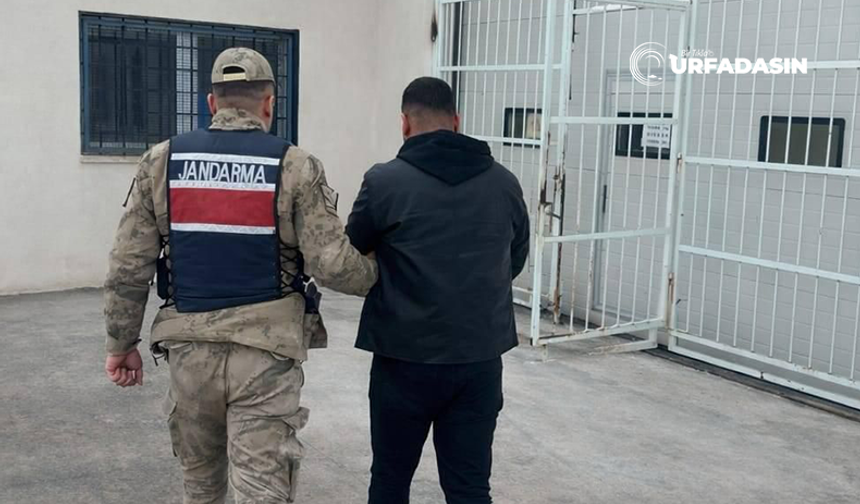 Şanlıurfa'da Hırsızlık Suçundan Kesinleşmiş Hapis Cezası Bulunan Firari Yakalandı