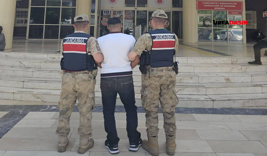 Şanlıurfa’da 27 Yıl Hapis Cezası Bulunan Firari Yakalandı