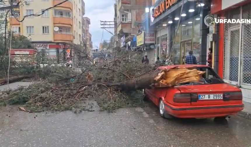 Şanlıurfa'da Asrın Fırtınasında Okullar Tatil Edildi Yaralı Sayısı 40'a Yükseldi