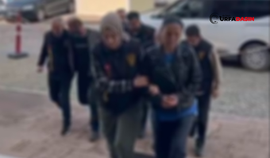 Şanlıurfa ve Çankırı'da Fuhuş Operasyonu: 4 Gözaltı