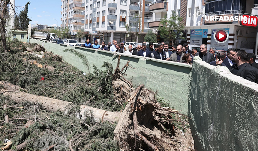 Başkan Gülpınar Birecik’te Çalışmaları İnceledi, Esnafla Bir Araya Geldi