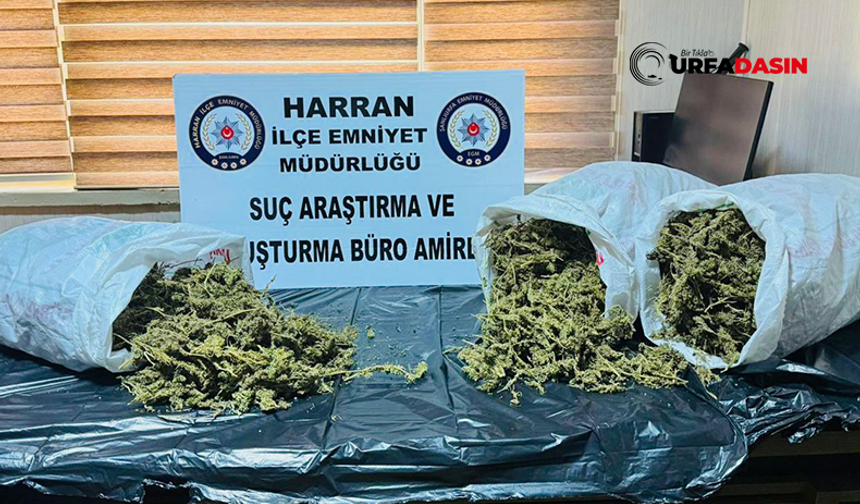 Şanlıurfa'da Zehir Taciri 8 Kilo Esrar ile Yakalandı, Tutuklandı