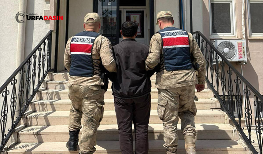 Şanlıurfa'da 18 Yıl Hapis Cezası Bulunan Suçlu Yakalandı