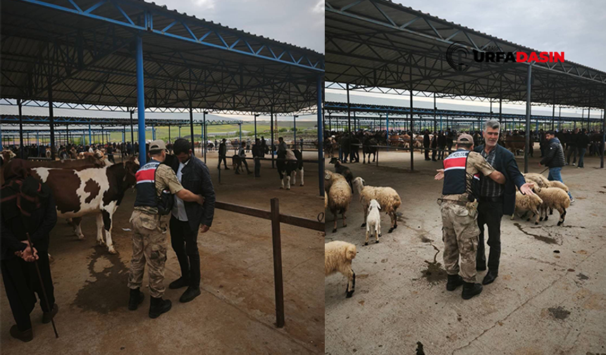 Şanlıurfa’da Kurban Pazarlarında Jandarmadan Üst Düzey Önlem