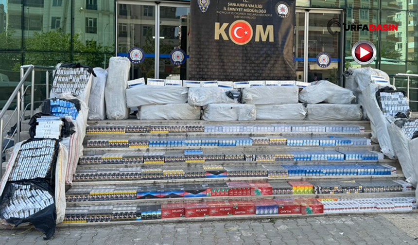 Şanlıurfa'da Bir Tırda 40 Bin Paket Sigara Ele Geçirildi: Kaçakçı Tutuklandı