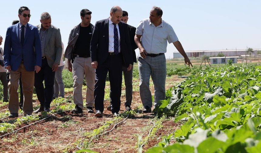 Başkan Gülpınar’dan Dünya Çiftçiler Günü Mesajı