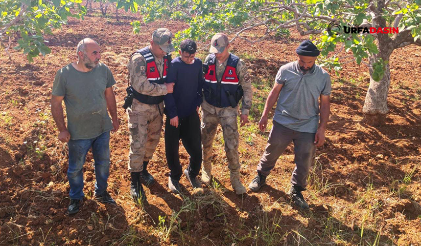 Şanlıurfa'da Kaybolan Genç, Bitkin Halde Bulundu