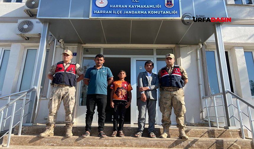 Şanlıurfa'da Babalarının Mezarını Ziyaret Ederken Kaybolan Kardeşler Bulundu