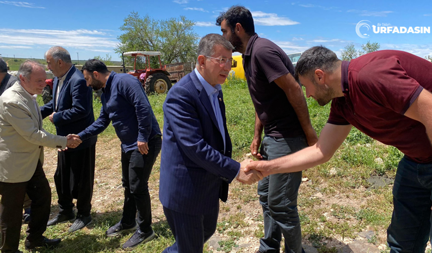 Cevheri, Cumhurbaşkanıyla Görüştü, Sahaya İndi Çalışmalara Hız Verdi