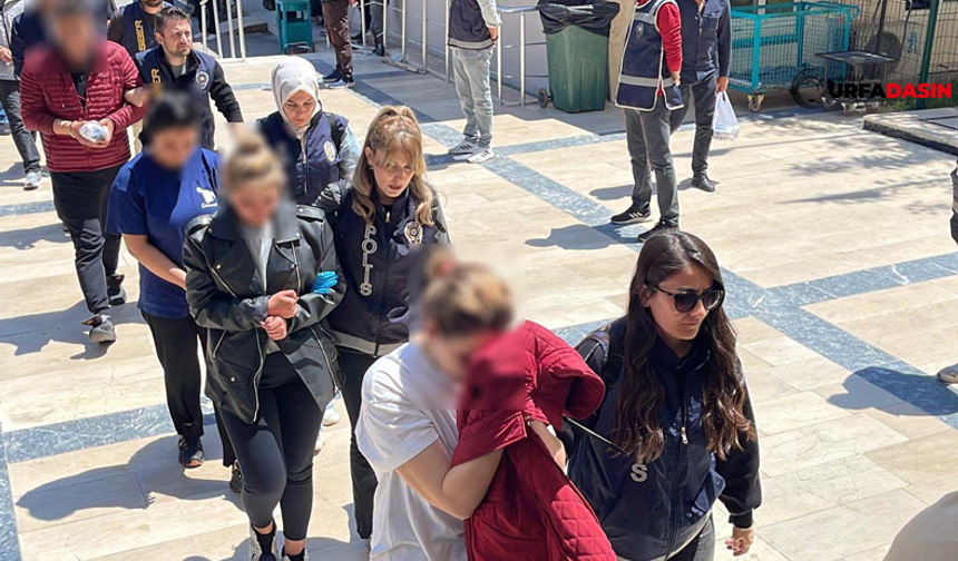 Şanlıurfa'da 200 Milyon TL'lik Dolandırıcılığa 31 Tutuklama