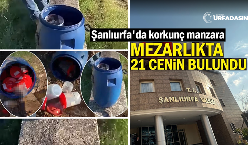 Şanlıurfa Mezarlığındaki Olayla İlgili Valilik Adli ve İdari İşlem Başlattı