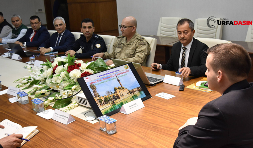 Şanlıurfa'da Orman Yangınlarının Önlenmesine Yönelik Koordinasyon Toplantısı Yapıldı