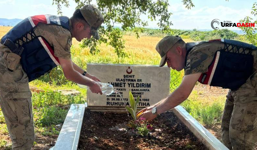 Jandarma, Kurban Bayramında Şehitlerin Kabrini Çiçeklerle Donattı