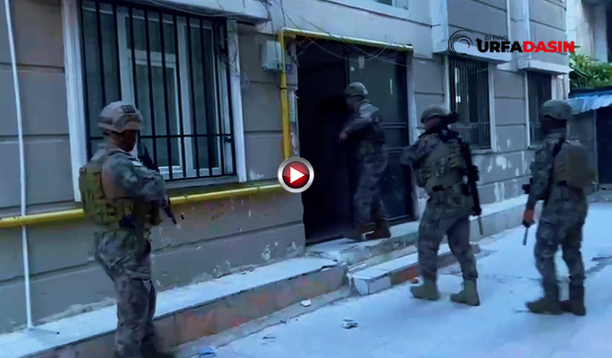 Şanlıurfa'da Lideri Cezaevinde Bulunan Suç Örgütüne Operasyon: 21 Gözaltı