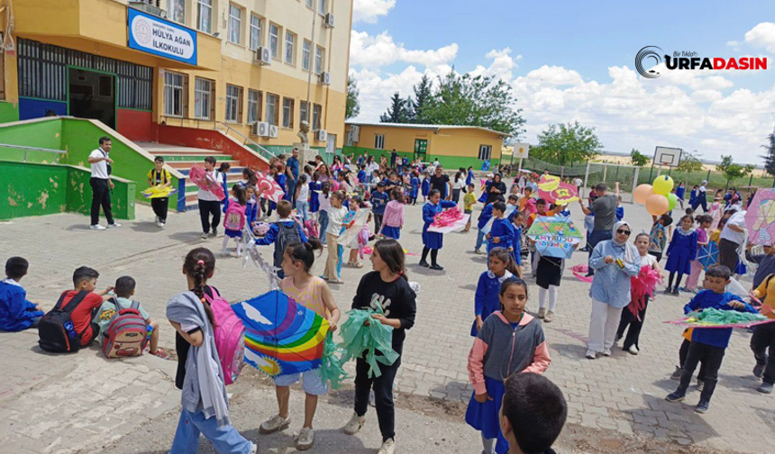 Suruç’ta Çocuklar Uçurtmalarla Gökyüzünü Renklendirdi