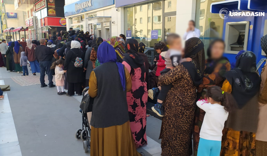 Şanlıurfa’da Sosyal Yardım Sıralarında İzdihamı Aratmayan Görüntüler
