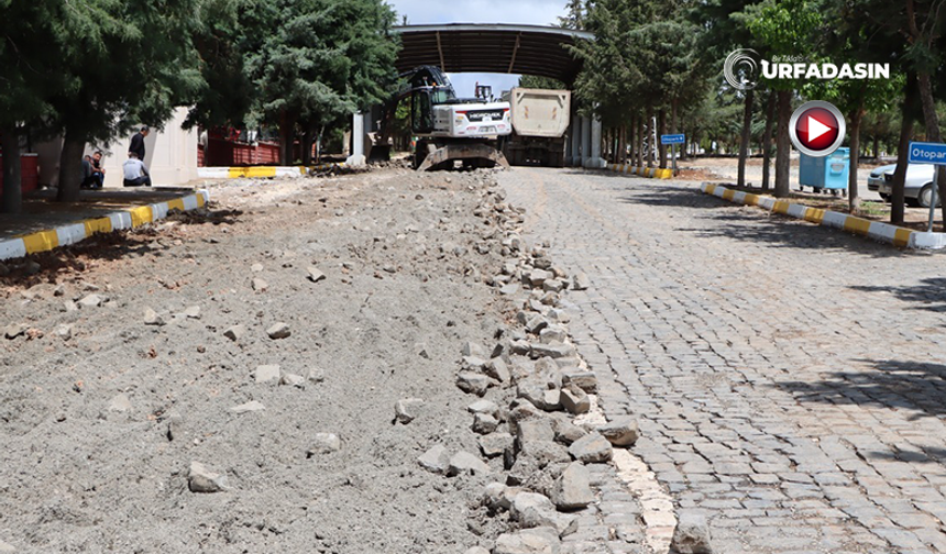 Şanlıurfa Yeni Asri Mezarlıkta Bazalt Taş Yerine Sıcak Asfalt Serilecek