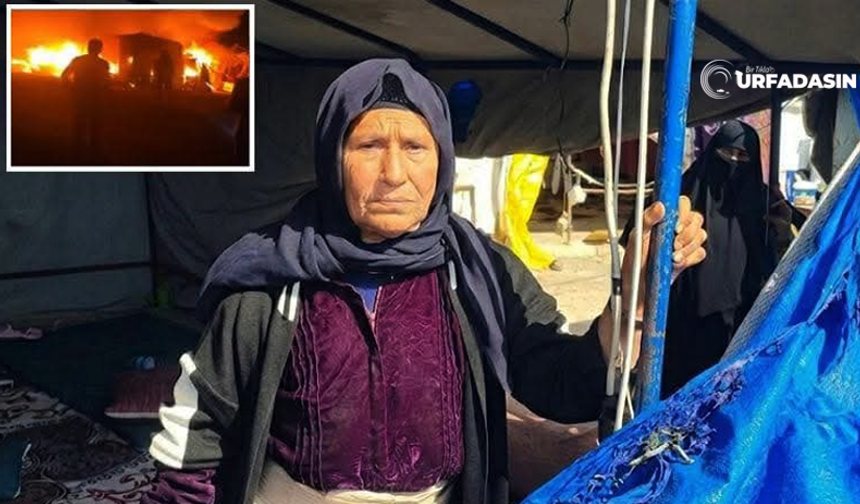 Şanlıurfalı Mevsimlik Tarım İşçisi Anne Zehra Taş 13 Kişinin Hayatını Kurtardı