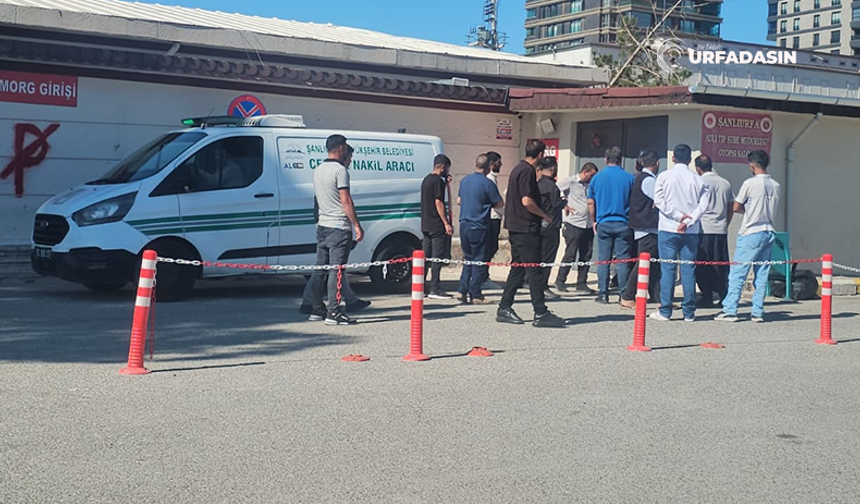 Şanlıurfa'da Devrilen Traktörün Sürücüsü Hayatını Kaybetti