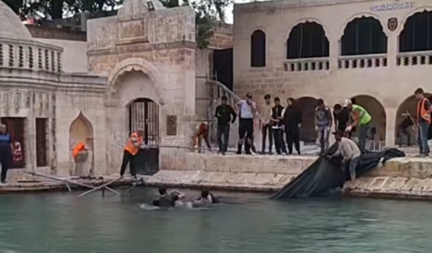 Balıklıgöl'e Ağ Atıp Balık Mı Tutuyorlar ?