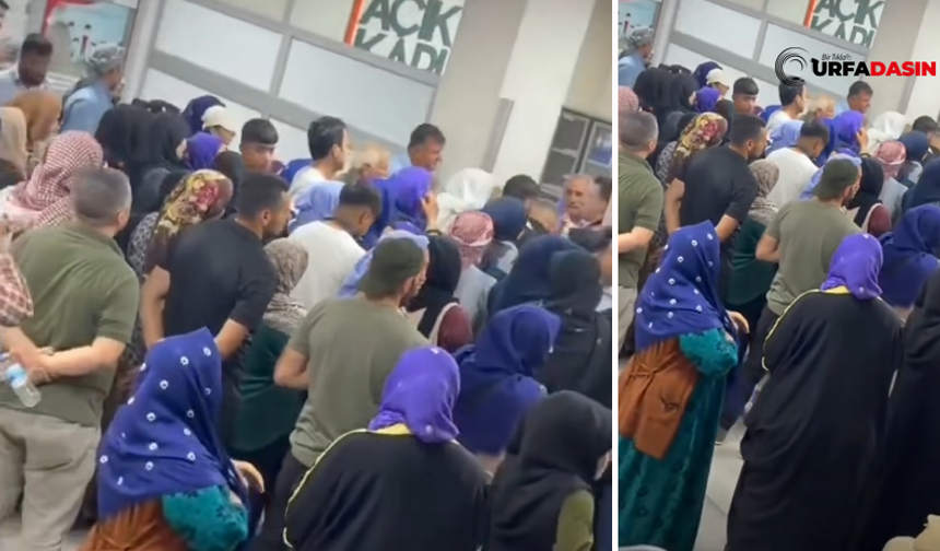Şanlıurfa Viranşehir’de Aile Kartı Çilesi