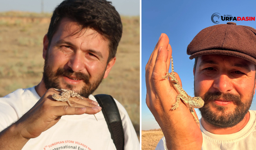Yaban Hayatı Fotoğrafçısı Alper Tüydeş, Şanlıurfa’da Çöl Varanı Yavrusuyla Poz Verdi