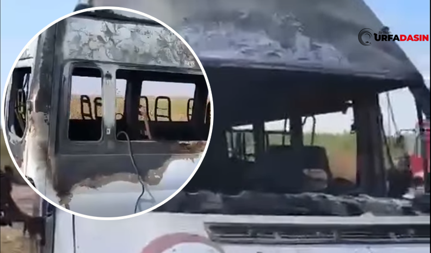 Şanlıurfa Ceylanpınar'da Araç Küle Döndü ! Yangın mı Kundaklama mı?