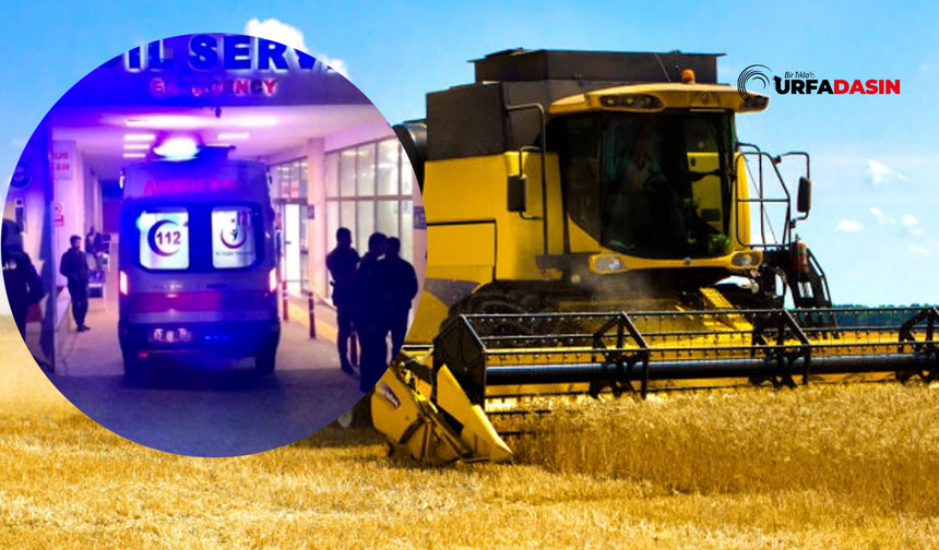 Şanlıurfa'da Biçerdöver Sürücüsü Direksiyon Başında Kalp Krizi Geçirdi