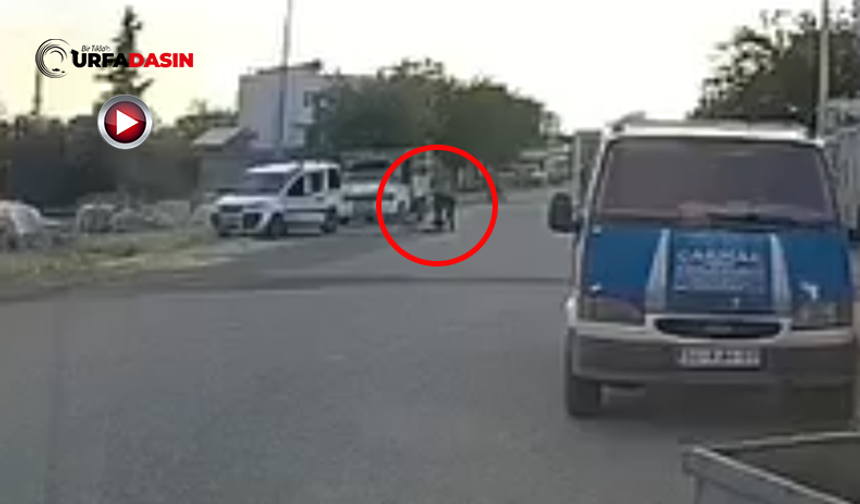 Şanlıurfa'da Araç Yola Fırlayan Bisikletli Çocuğa Çarptı: Kaza Kameraya Yansıdı