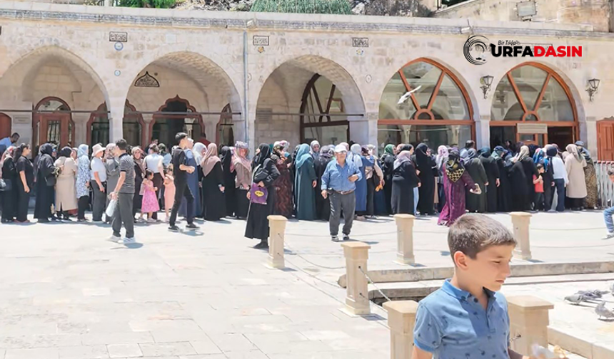 Şanlıurfa'da LGS Öncesi Balıklıgöl ve Dergah'a  Akın Etti