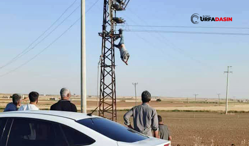 Şanlıurfa'da Elektrik Akımına Kapıldı, Direkte Asılı Kaldı