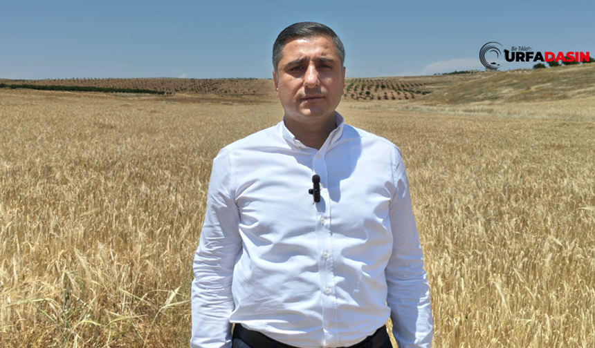 CHP Şanlıurfa İl Başkanı Ferhat Karadağ, TMO'yu Topa Tuttu !