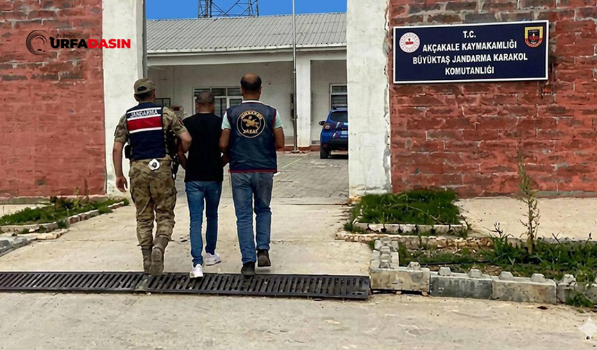 Şanlıurfa'da Farklı Suçlardan Hapis Cezasıyla Aranıyorlardı: 3 Hükümlü Yakalandı