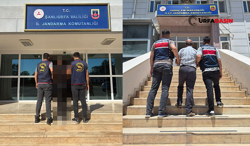 Şanlıurfa'da Aranan İki Firari Farklı İlçelerde Yakalandı