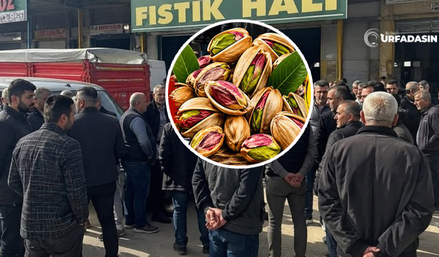 Nizip'teki Toptancının Fıstık Vurgunu Şanlıurfa'daki Üreticileri Tedirgin Etti