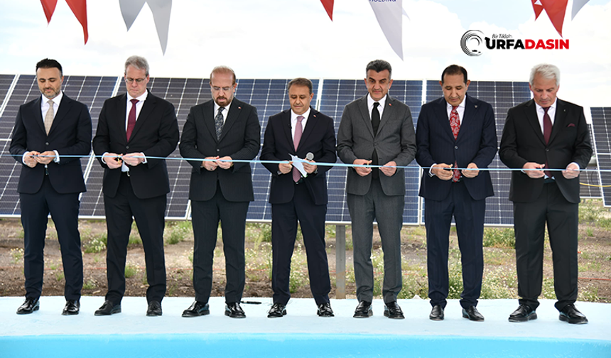 Şanlıurfa'da 400 MW Güce Sahip GES Sahası'nın Açılışı Gerçekleştirildi