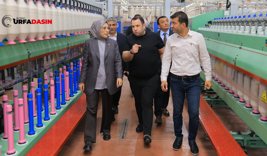 Şanlıurfa OSB'de Grand Halı İplik Fabrikası Ayda 550 Ton Üretim Yapıyor