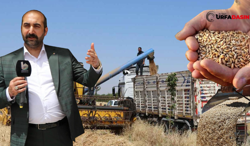 Açıklanan Hububat Fiyatlarına Şanlıurfa'da Tepki Üstüne Tepki