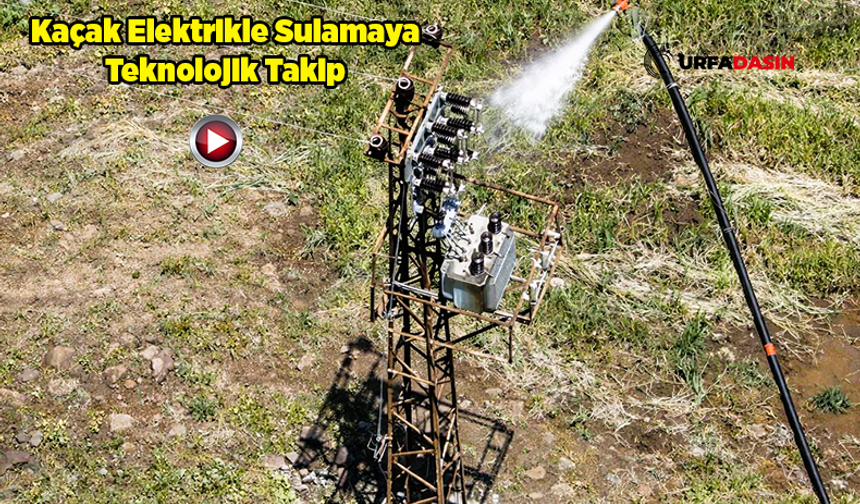Şanlıurfa’da 5 Bin Evi Besleyecek Güçte 62 Kaçak Trafo Tespit Edildi