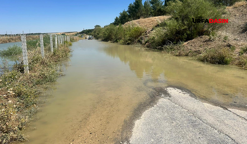Şanlıurfa'da Köy Yolu Baraj Suyu Altında Kaldı, Ulaşım Durdu