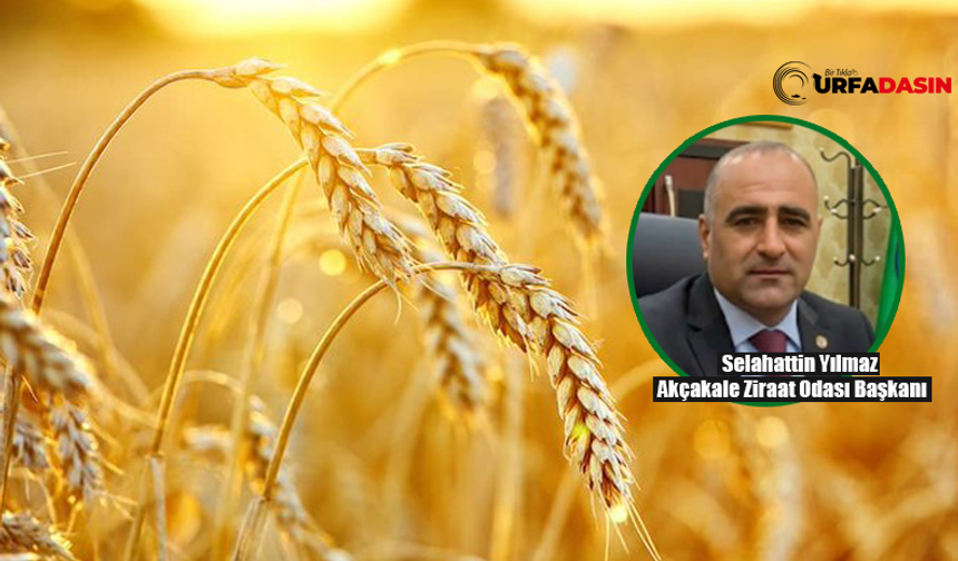 Açıklanan Hububat Fiyatına Şanlıurfa'da Tepkiler Dinmiyor