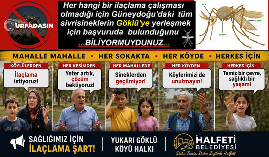 İlaçlamanın Yetersiz Olduğu Halfeti Göklü, Sivrisineklerin İsviçre’si Gibi !