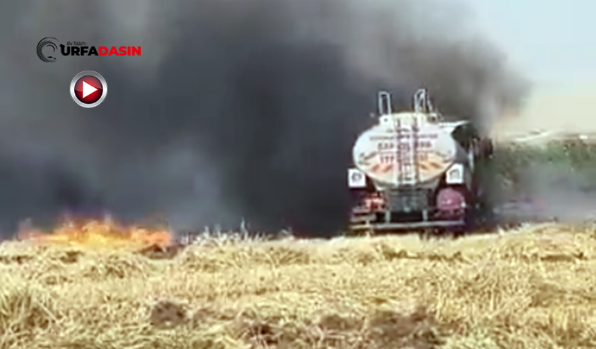 Şanlıurfa'da Anız Yangınında Alevlerin Arasında Kalan Su Tankeri Yandı