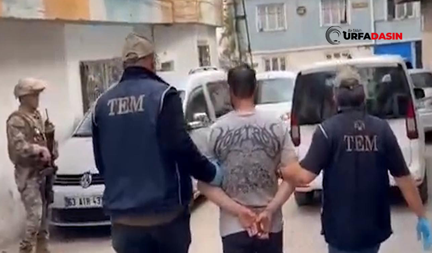 Şanlıurfa ve Çok Sayıda İlde MİT Destekli DEAŞ Operasyonu: 361 Gözaltı