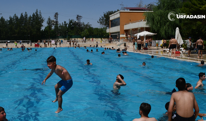 Siverek Olimpik Yüzme Havuzu Hizmete Açıldı