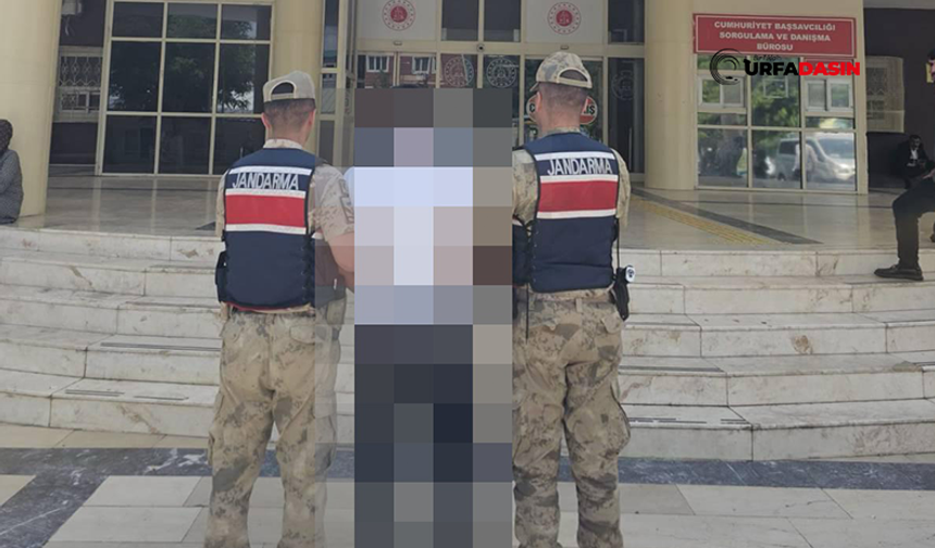 Şanlıurfa'da 6 Yıl 7 Ay Kesinleşmiş Hapis Cezası Bulunan Firari Yakalandı
