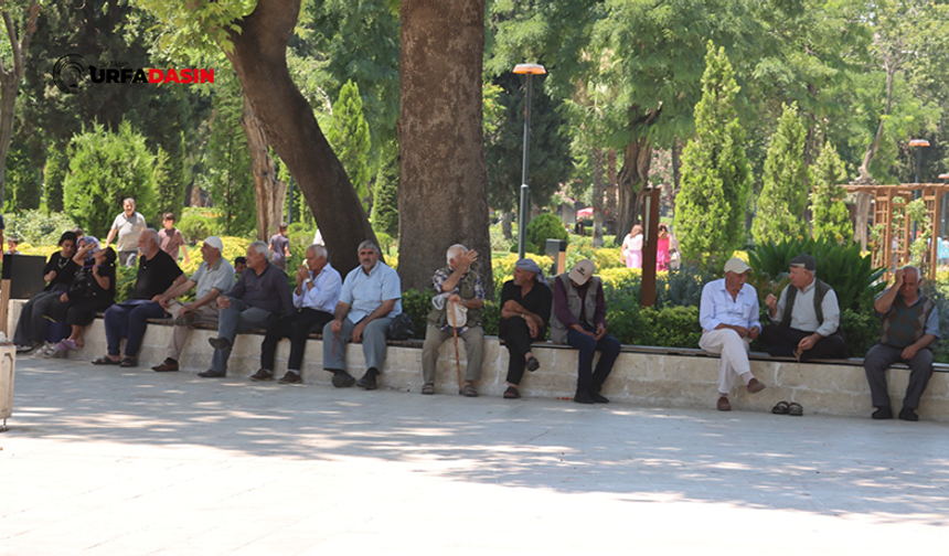 Sıcaktan Bunalan Şanlıurfalıların Kaçış Adresi Balıklıgöl Yerleşkesi